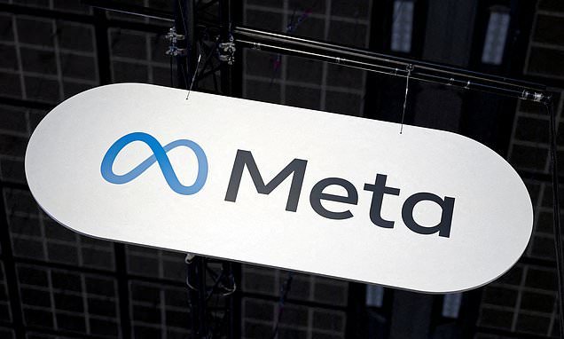 Meta tried to discredit researcher who led campaign on social media harms, court papers show