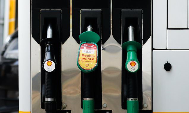 G7 Agrees Emergency Release of Up to 100 Million Barrels of Oil and Diesel
