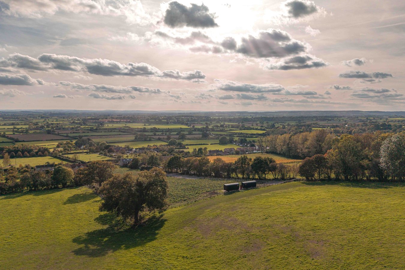 UK Vineyards Move Centre Stage as Wine Tourism Booms