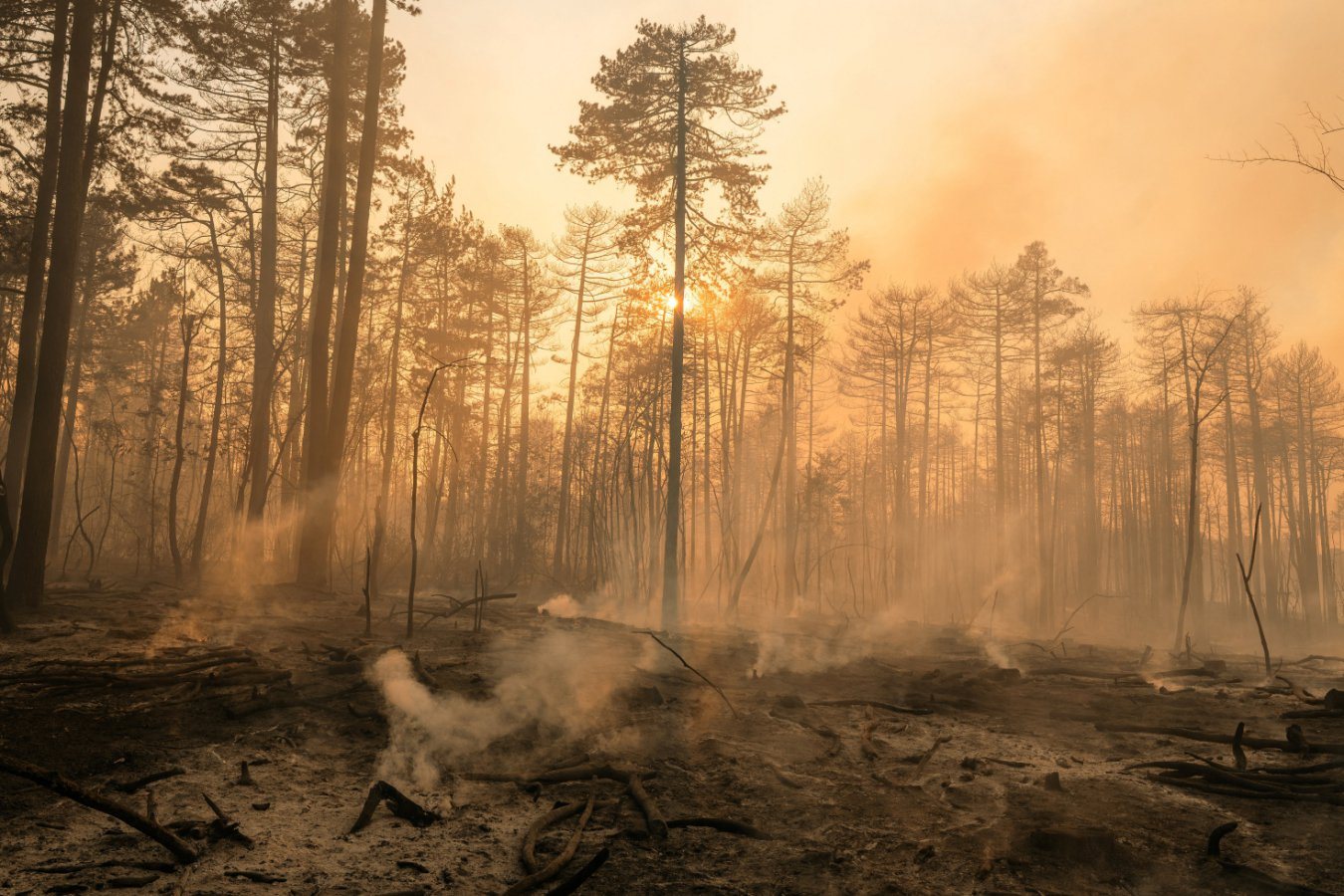 Some climate damage now unavoidable even if emissions are cut, scientists warn
