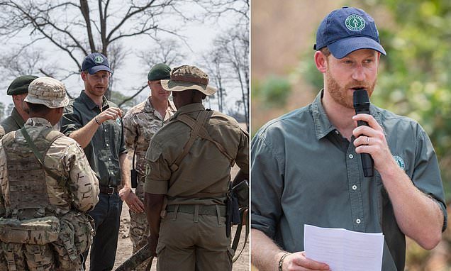 Prince Harry steps down from African Parks board after ranger abuse admissions