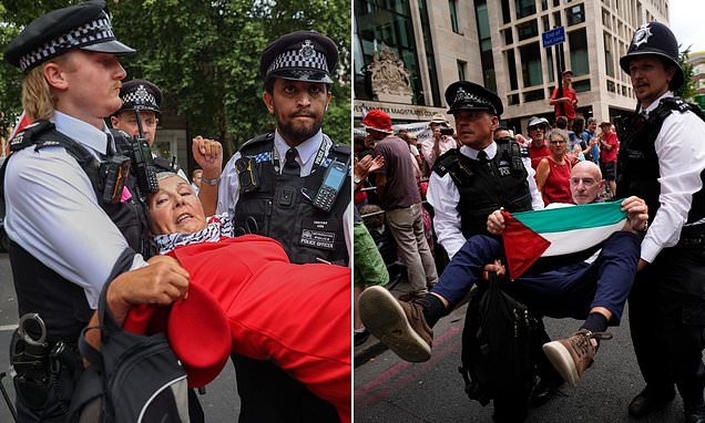 Palestine Action co-founder wins Supreme Court hearing on terror ban as 77 arrested at protest