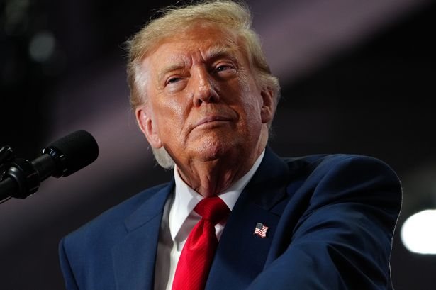 Trump Announces Energy Ceasefire as Zelenskyy Says Deal Is 'News to Me'