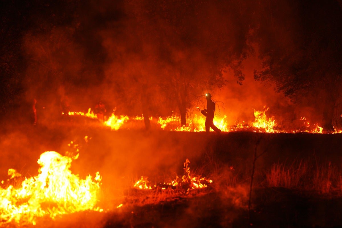 Thousands evacuated in France's worst wildfire crisis since Second World War