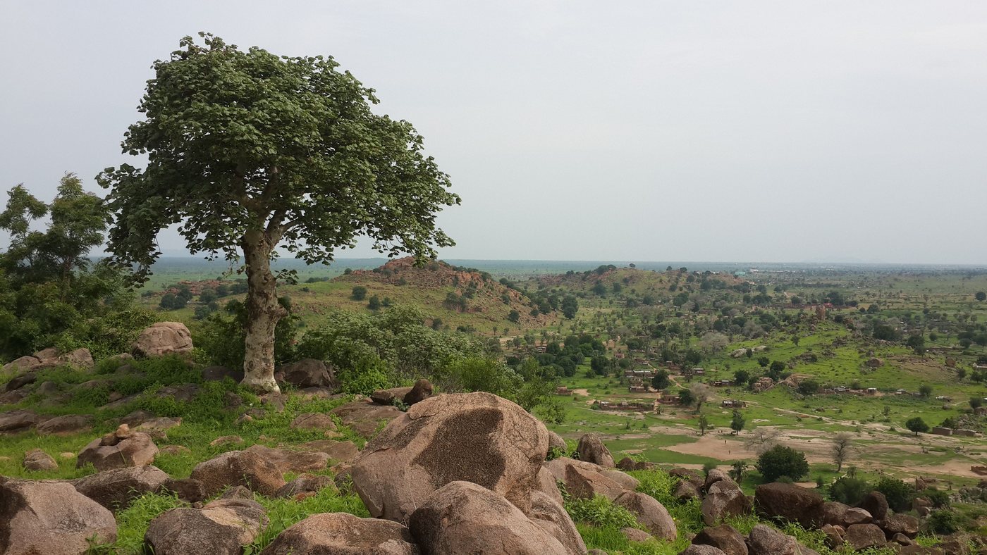 Sudan’s War Is a Networked Conflict With a Humanitarian Core