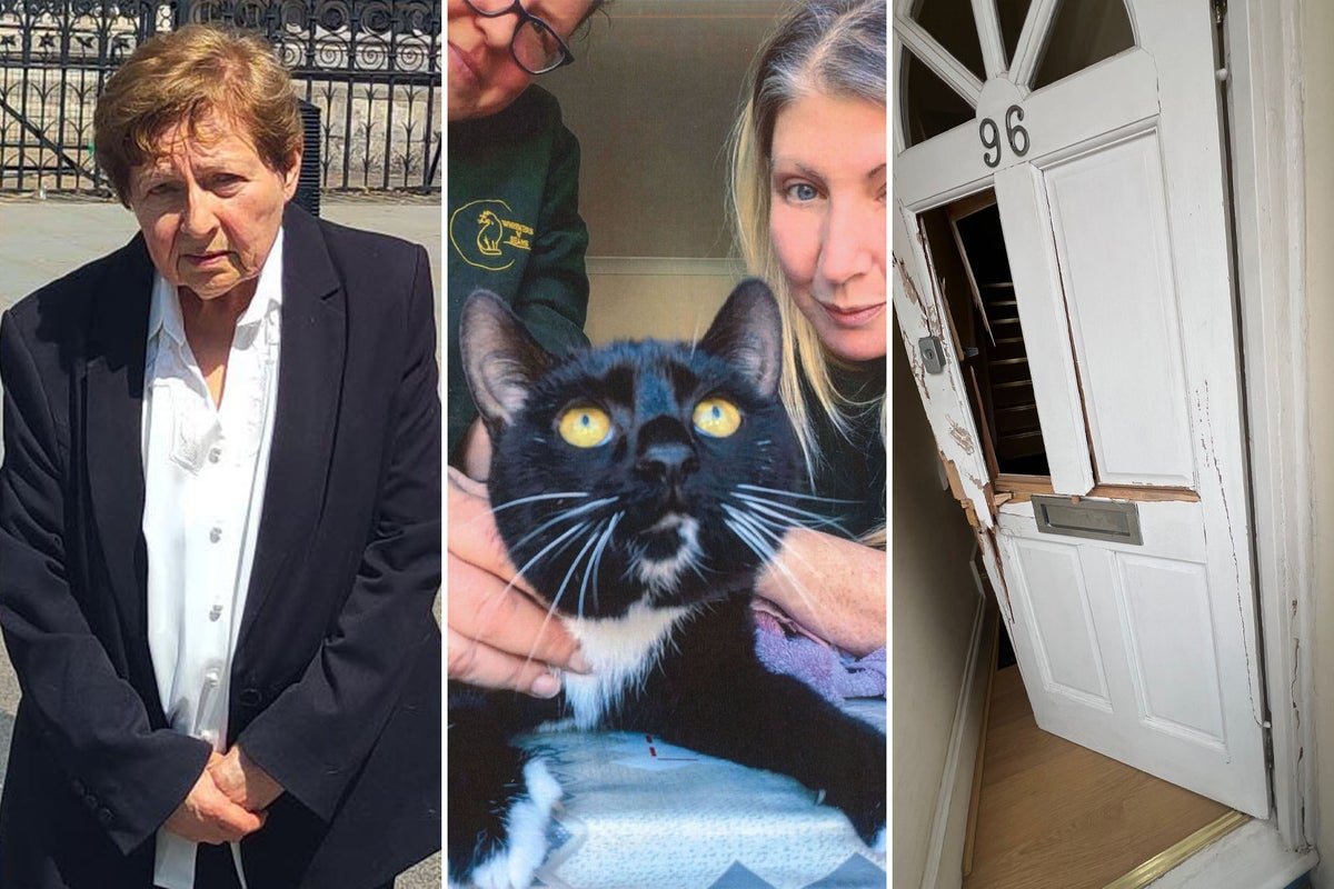 Former human rights lawyer, 79, sues police over cat seizure