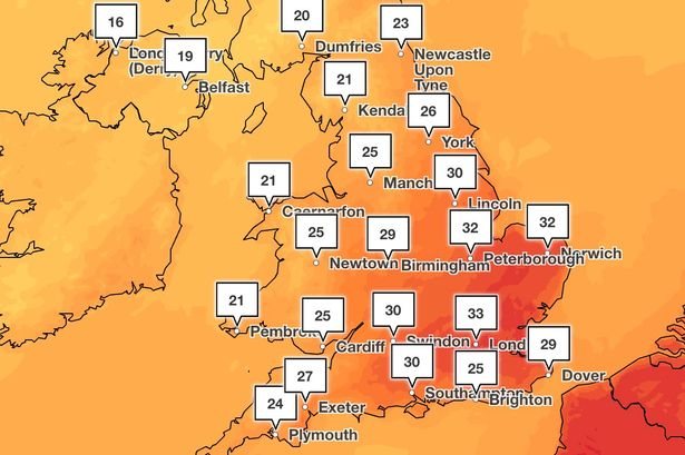 Amber heat health alerts issued for four areas as UK braces for fourth heatwave