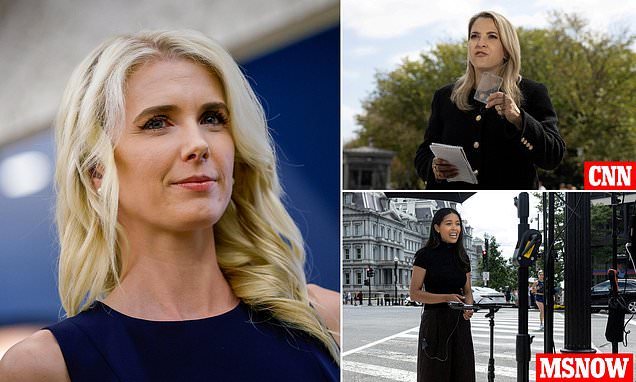 Trump aide Natalie Harp reportedly supplied unflattering clips behind White House media purge