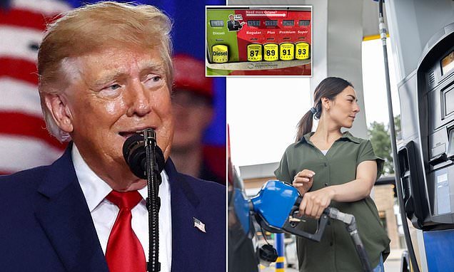 Trump Says US Profits From Iran War as Gas Hits $4.27