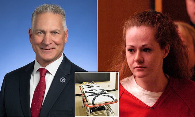 Tennessee prison chief resigns after botched Christa Pike execution