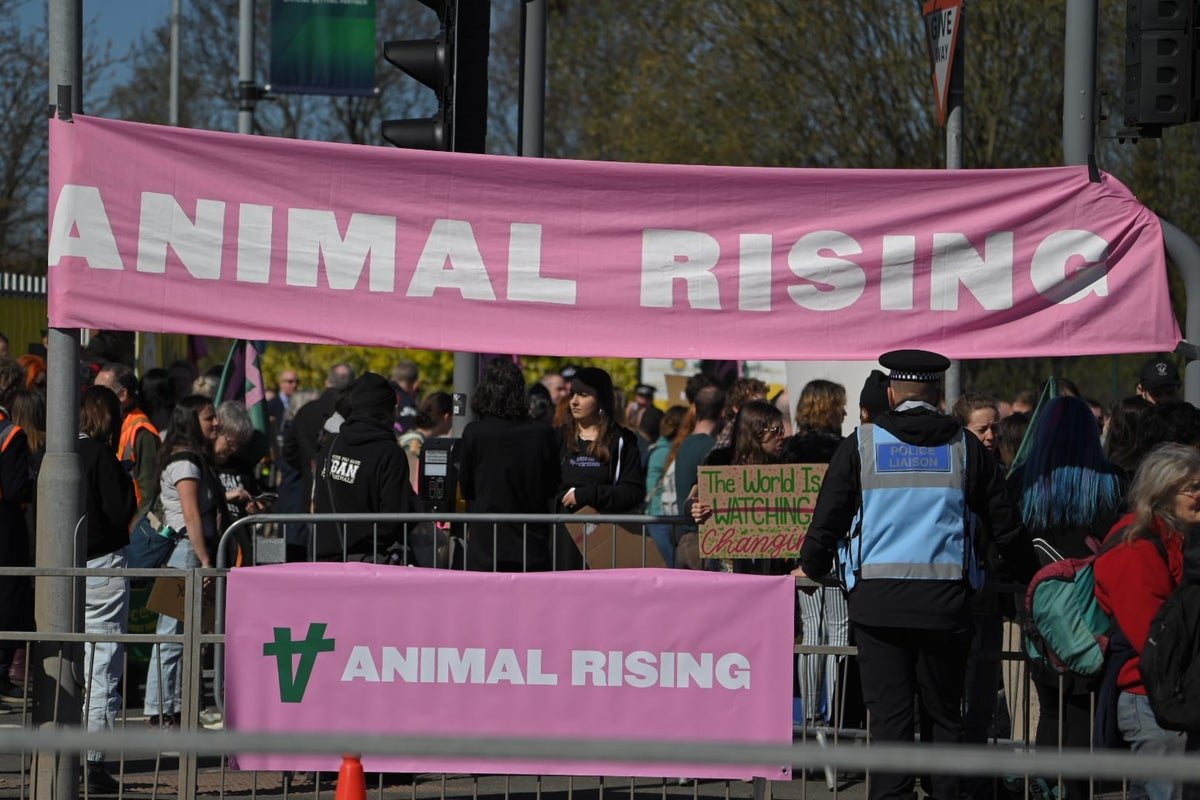 Animal rights campaigners sue Met Police over wrongful Coronation arrests