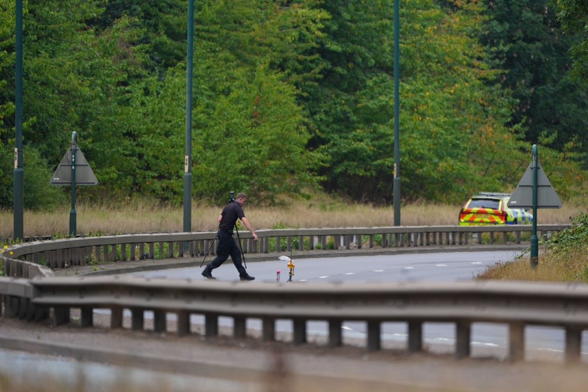 UK minister tells social media firms to remove dangerous driving content after fatal A66 crash