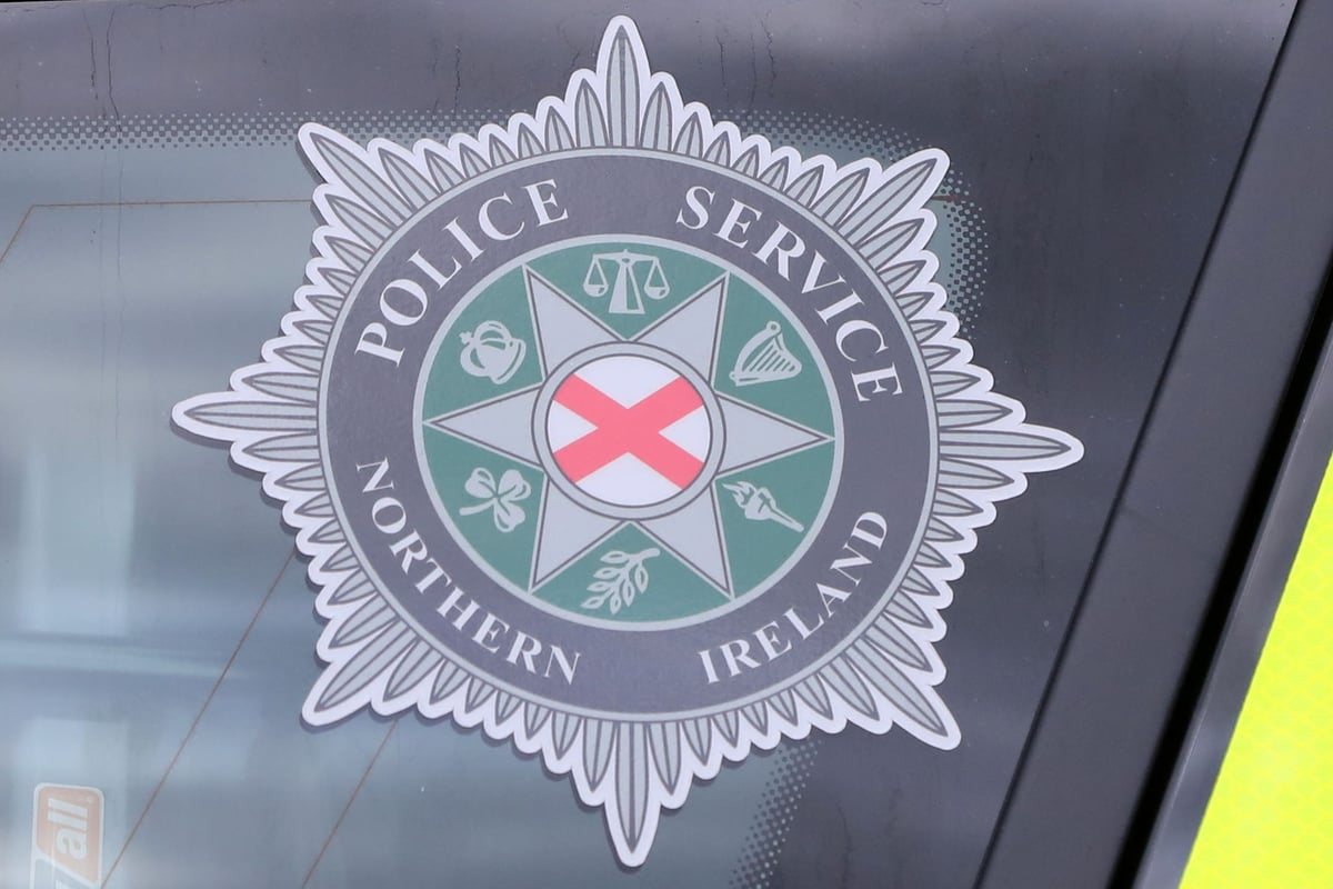 Two dead after workplace incident in Co Down as safety inspectors attend site