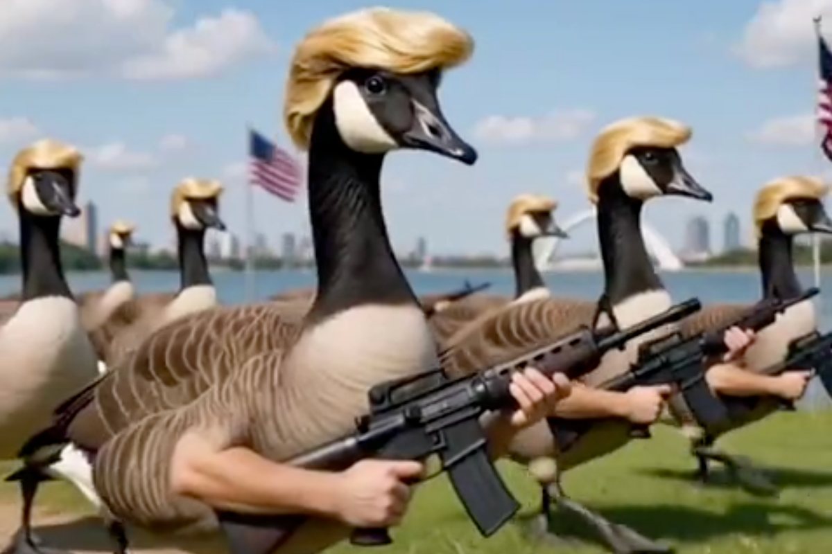 Trump shares AI video of 'Donald Ducks' guarding renamed Lake Ontario