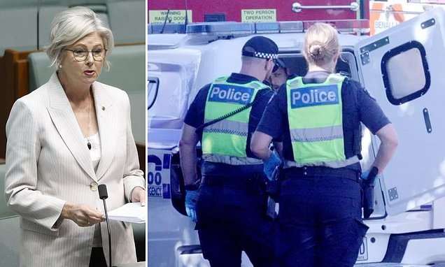 Australian MP Helen Haines critically injured after alleged car attack in rural Victoria
