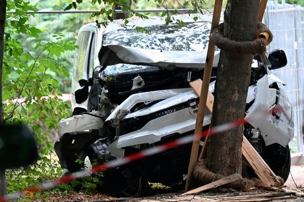 Berlin Pride van ramming suspect shot dead by police