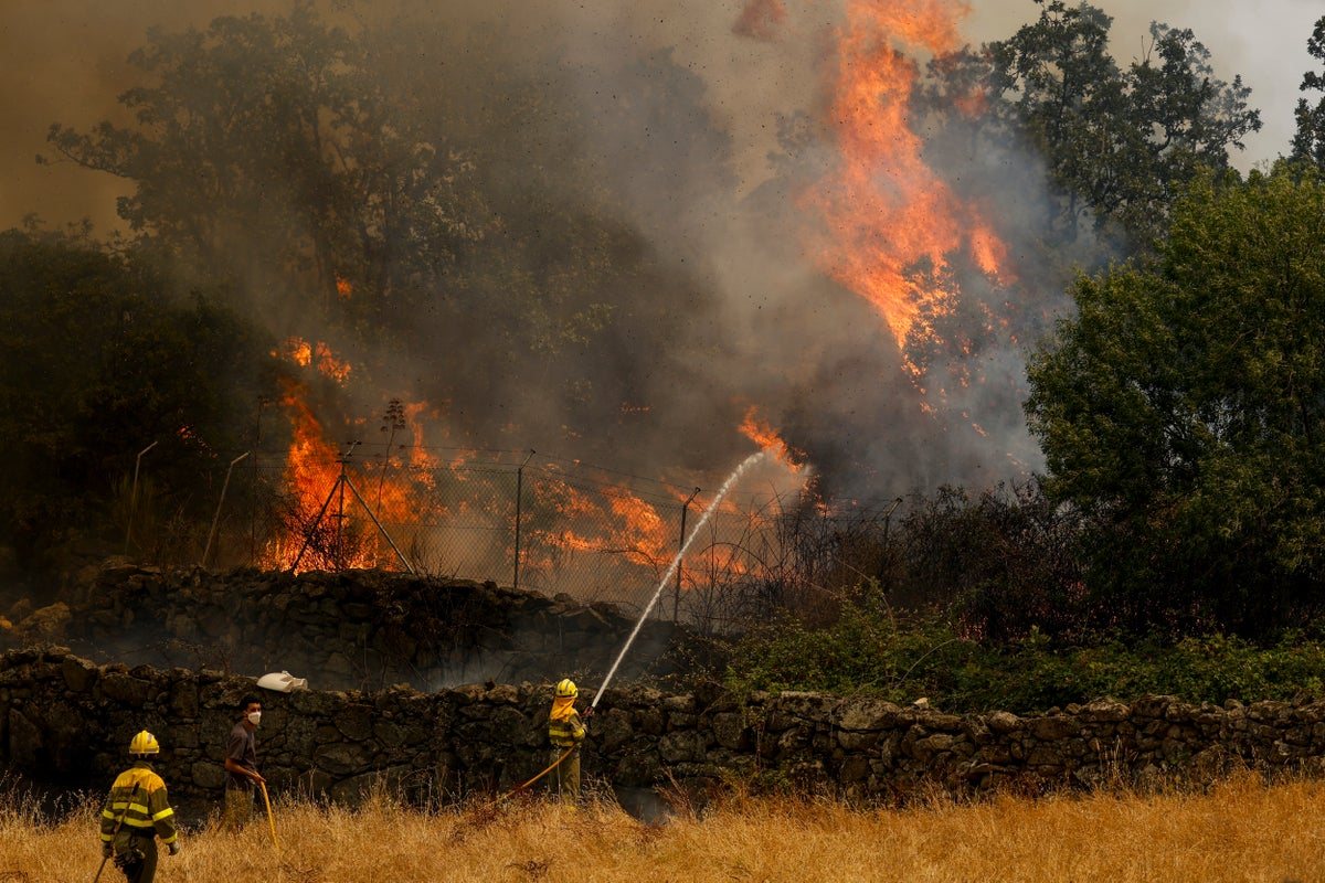 Europe wildfires latest: Bordeaux suburbs evacuated as France sends in army while winds in Spain could worsen blaze