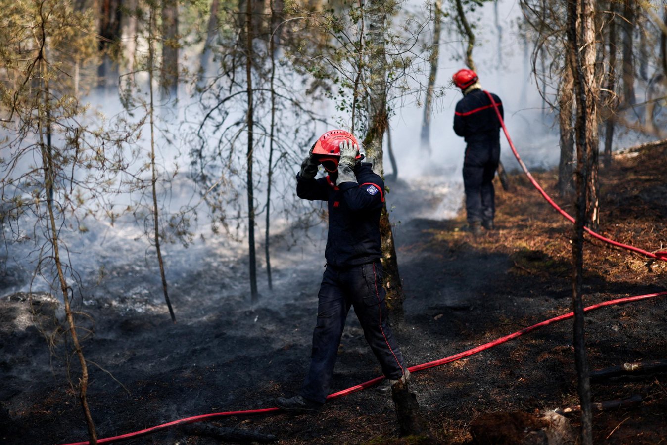Two Suspects, Including Volunteer Firefighter, Face Detention Over Fontainebleau Forest Fires
